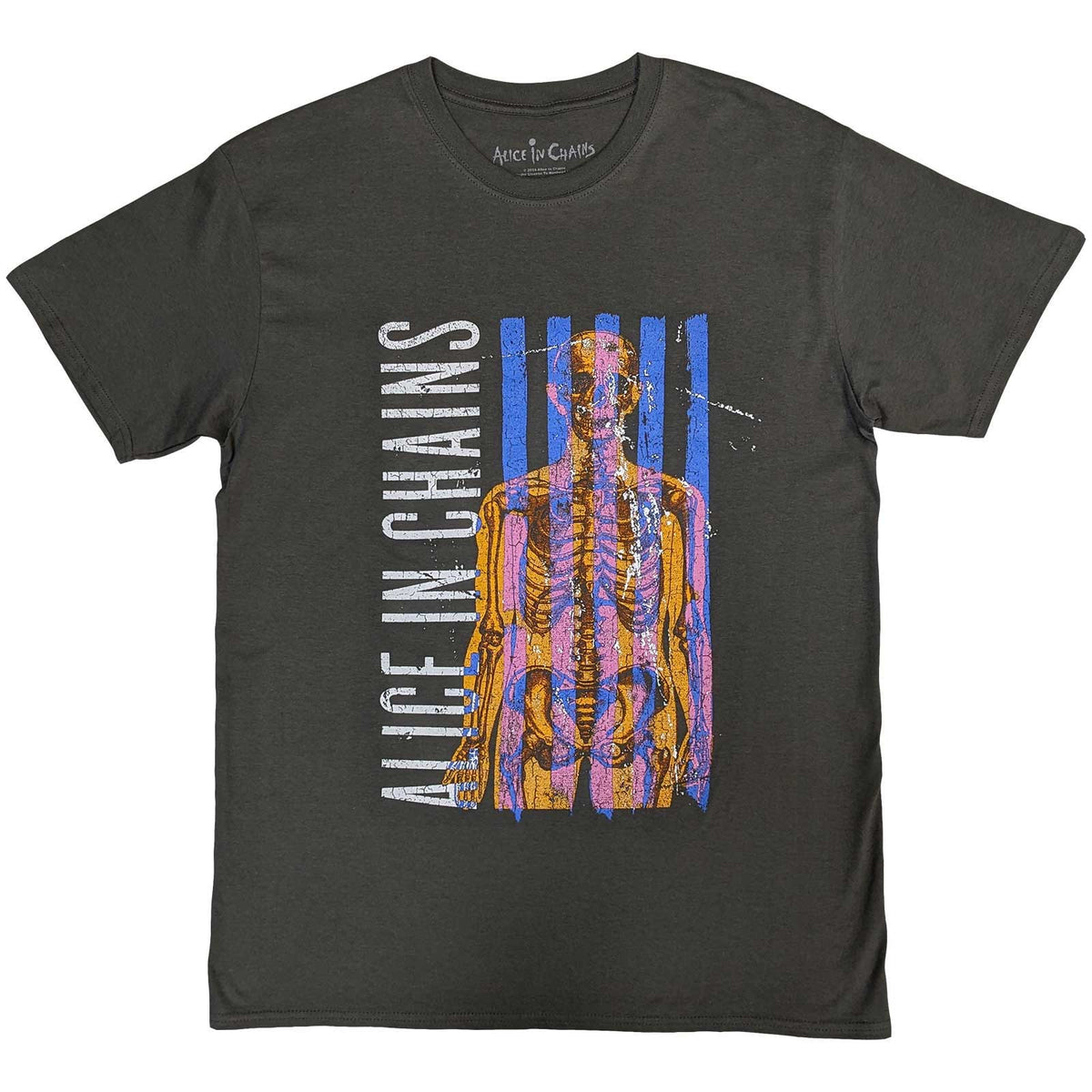 ALICE IN CHAINS - SKELETAL - T-Shirt Grey